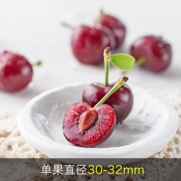 超大美國西北櫻桃
